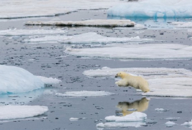 Norway faces climate lawsuit over Arctic oil exploration plans 